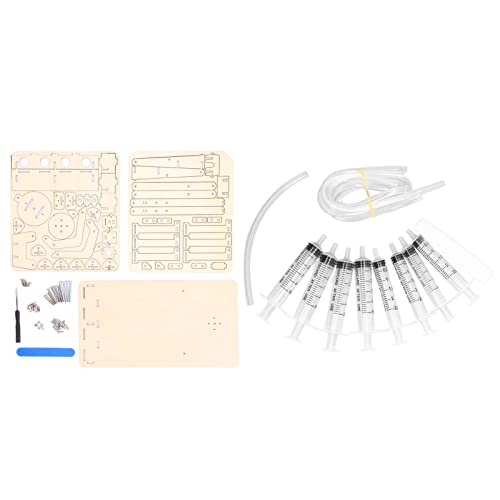 PerGar 23-teiliger Mechanischer Arm-Modellbausatz, Roboterarm-Bausatz, Buchenbauspielzeug, Hydraulisches Mechanisches Holzmodell-Werkzeugset für Handgefertigte Puzzle-Lehre von PerGar