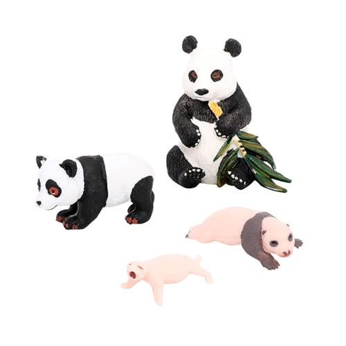 Perfeclan 4 Stück Panda Tier Lebenszyklus Modell, Klassenzimmer Requisiten, Lernspielzeug, Panda Wachstumszyklus Figuren, Panda-Wachstumszyklus 1 von Perfeclan