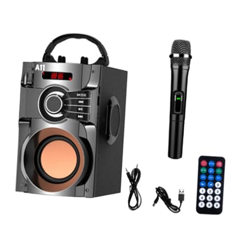 Perfeclan Karaoke-Maschine, unterstützt TF-Karte, tragbares Bluetooth-Lautsprecher-Geschenk für Zuhause mit Mikrofon für Unterhaltung, Gesang, Familie, Strand, Schwarz von Perfeclan