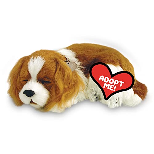 Perfect Petzzz 96309 Plüschhund Cavalier King Charles mit Körbchen, Größe 25 cm, Kuscheltier atmet wie ein echtes Haustier, schlafender Hund mit Halsband, Stofftier mit flauschigem Fell, Weiß/Braun von 88 Unlimited