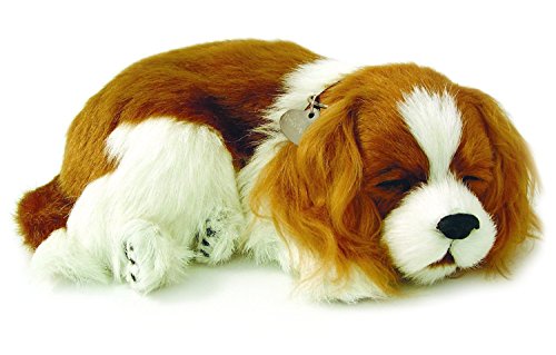 Perfect Petzzz 96309 Plüschhund Cavalier King Charles mit Körbchen, Größe 25 cm, Kuscheltier atmet wie ein echtes Haustier, schlafender Hund mit Halsband, Stofftier mit flauschigem Fell, Weiß/Braun von 88 Unlimited