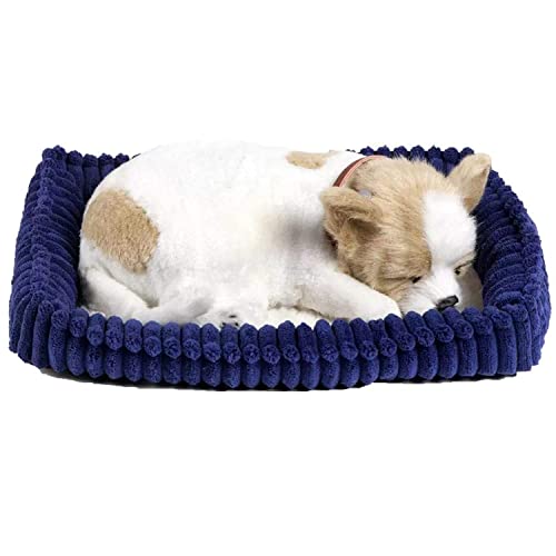 Perfect Petzzz - 4906 - Plüsch - Chihuahua von Perfect Petzzz