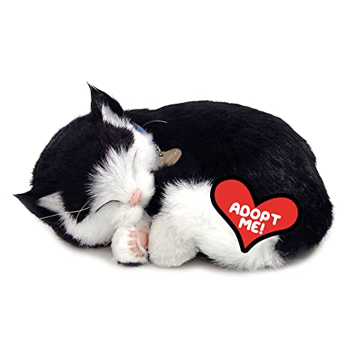 Perfect Petzzz 92554 Plüschkatze mit Körbchen, Größe 25 cm, Kuscheltier atmet wie EIN echtes Haustier, schlafende Katze mit Halsband, Stofftier mit flauschigem Fell, Schwarz/Weiß von 88 Unlimited