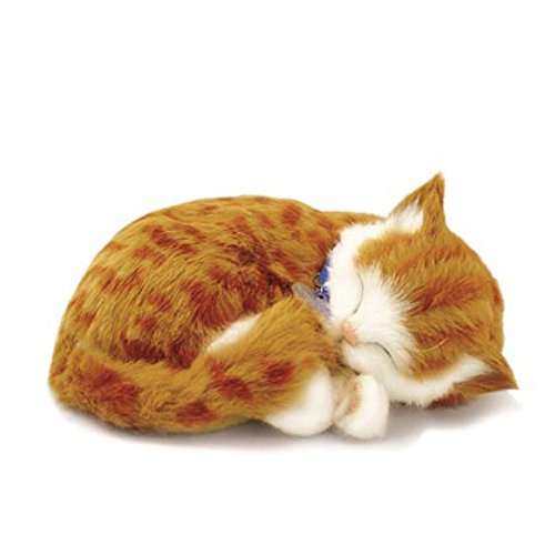 PERFECTPET 92547 Precious Petzzz Katze Plüschtier, Orange, 25 cm von 88 Unlimited