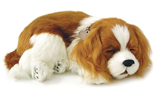 Perfect Petzzz Hundewelpe Cavalier King Charles, der richtig atmet The Breathing Puppy von Perfect Petzzz