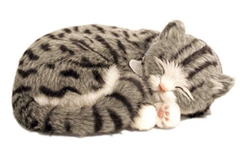 Perfect Petzzz Katze, Plüsch, Gray Tabby The Breathing Puppy von Perfect Petzzz