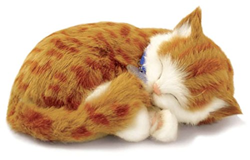 Perfect Petzzz Katze, Plüsch, Orange Tabby The Breathing Puppy von Perfect Petzzz