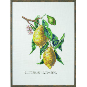 Permin Stickereiset Citrus-Zitrone 29x39cm von Permin