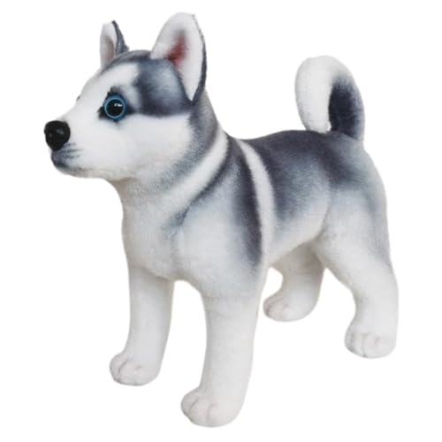 Pesoncarl Siberian Husky Stofftiere, realistischer Welpe Plüsch mit kurzem Bein und Schwanz, expessiver Hundeplüsch mit Ohren, Nicht geschüttetes Baumwollhundtier für Zuhause, Büro, Party, Stehen Pesoncarl Siberian Husky Stofftiere, realistischer Welpe Plüsch mit kurzem Bein und Schwanz, expessiver Hundeplüsch mit Ohren, Nicht geschüttetes Baumwollhundtier für Zuhause, Büro, Party, Stehen von Pesoncarl