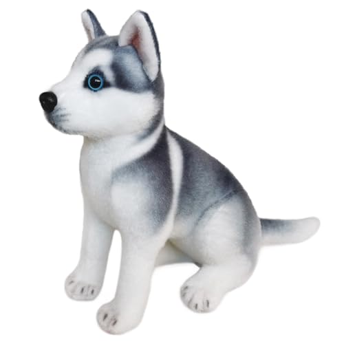 Pesoncarl Sibirisch-Husky-Stofftier, realistischer Welpe Plüsch mit kurzem Bein und Schwanz, expessiver Hundeplüsch mit Ohren, Nicht geschüttetes Baumwollhundtier für Zuhause, Büro, Party, Sitzen Pesoncarl Sibirisch-Husky-Stofftier, realistischer Welpe Plüsch mit kurzem Bein und Schwanz, expessiver Hundeplüsch mit Ohren, Nicht geschüttetes Baumwollhundtier für Zuhause, Büro, Party, Sitzen von Pesoncarl