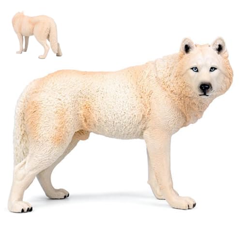 Pesoncarl Wolf Figur High Simulation Wildlife Animal Model Wolf Spielzeug Sammlung Figur Ornament pädagogische Lernspielzeug Geburtstagsgeschenk für Jungen Mädchen, Beige Pesoncarl Wolf Figur High Simulation Wildlife Animal Model Wolf Spielzeug Sammlung Figur Ornament pädagogische Lernspielzeug Geburtstagsgeschenk für Jungen Mädchen, Beige von Pesoncarl