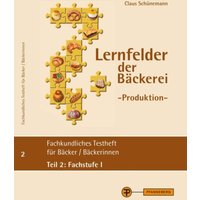 Schünemann: Lernfelder Produktion, Testheft 2 (Fachstufe I) von Pfanneberg