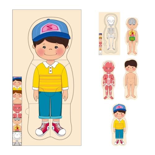 Körperpuzzle Kinder, Puzzle Körperbau, Anatomie Puzzle, Puzzle Holz Kinder, Schichtenpuzzle ab 4, 28 Teiliges Schichtpuzzle, Für Kinder 3-5 (Jungen) von Piashow