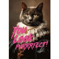 You Look Purrrfect ! You Look Purrrfect ! von Piatnik Deutschland GmbH
