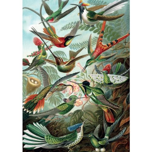 Piatnik 5528 - Haeckel Kolibris 1.000 Teile Puzzle von Piatnik