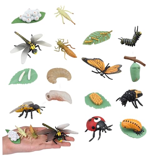 Lebenszyklusspielzeug für Kinder, 4 Sätze A Bugs Life Toys umfassen Schmetterling, Honigbiene, Libelle und Marienkäfer, Plastikwanzen, frühe Bildungstierfiguren, Lebenszyklusspielzeug für Kinder von Pineeseatile