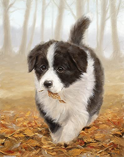 John Silver - Border Collie Showpiece 500 von Pintoo