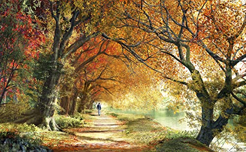 Pintoo - H2227 - Dominic Davison - Forever Autumn - 1000 Teile Kunststoffpuzzle von Pintoo