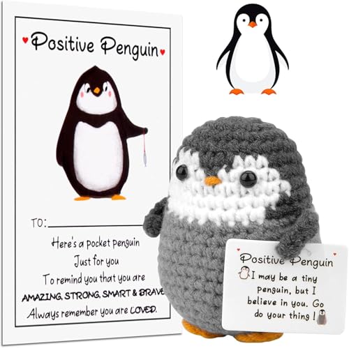 Mini Positive Pinguin, Süßes Gestricktes Pinguin Spielzeug mit Positive Karte, Pocket Hug Pinguin Geschenk, Glücksbringer, Abschiedsgeschenk Kollegen, Geschenke für Beste Freundin(B) von Pipihome