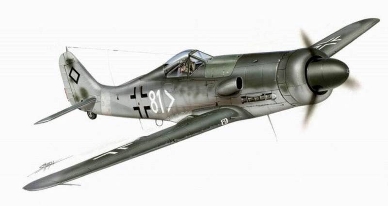 Focke-Wulf Fw 190 D-11 von Planet Models