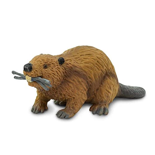 Safari S283629 Miniatur: Nordamerikanischer, wild lebender Biber aus der Reihe Wild von Safari Ltd.