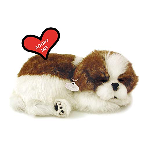 Perfect Petzzz 96293 Hund Plüschtier, Shih Tzu, one Size von Plenty Gifts