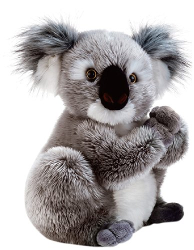 Plush & Company 05932 and Company Koline Koala Plüschtier, 22 cm, merhfarbig von Plush & Company