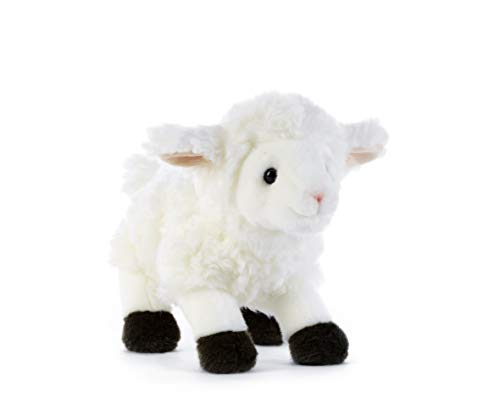 Plush & Company 05247 Lamm Kyrak Lamb, Mehrfarbig, 21 cm von Plush & Company