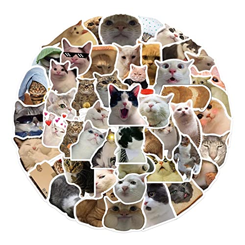 Pocoiau 50pcs Niedliche Katzen Animalaufkleber wasserdichte PVC Aufkleber Für Laptop Skateboard Wasserflaschen Telefon Geschenk Für Kinder von Pocoiau