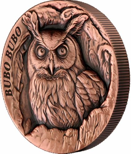 Power Coin Bubo Bubo Waldkauz Tree Hollow Kupfer Münze 25 Cents Samoa 2024 von Power Coin