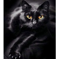 Diamond Painting Schwarze Katze (Design 25x35)30x40 cm von Pracht Creatives Hobby GmbH