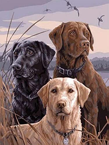 Pracht Creatives Hobby Diamond Painting Set, Bild mit Motiv Hunde und Zubehör, Größe ca. 35 x 25 cm, Bastelset zum Malen mit Glitzersteinchen für Kinder ab 5 Jahren Pracht Creatives Hobby Diamond Painting Set, Bild mit Motiv Hunde und Zubehör, Größe ca. 35 x 25 cm, Bastelset zum Malen mit Glitzersteinchen für Kinder ab 5 Jahren von Pracht Creatives Hobby