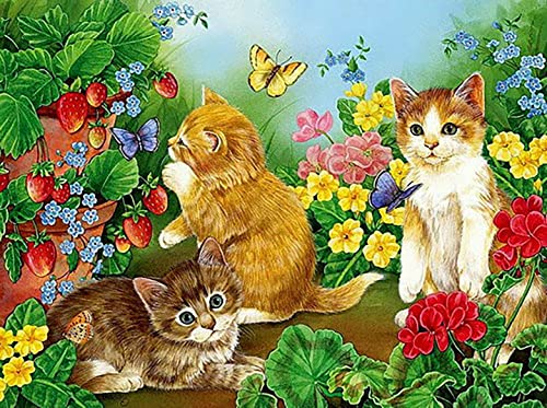 Diamond Painting Set, Bild mit Motiv Kätzchen in Blumenwiese und Zubehör, Größe ca. 35 x 25 cm, Bastelset zum Malen mit Glitzersteinchen für Kinder ab 5 Jahren von Pracht Creatives Hobby