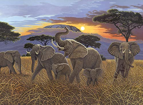 Malen nach Zahlen - Junior "Elefanten", DIY Bild ca. 40 x 32,5 cm groß, inkl. 7 Acryl-Farben, Pinsel und bedrucktem Malkarton, ideal für Anfänger und Kinder ab 8 Jahre von Pracht Creatives Hobby