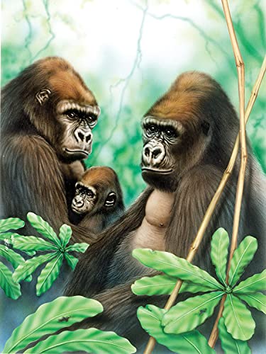 Malen nach Zahlen - Junior "Gorillas", DIY Bild ca. 33 x 24 cm groß, inkl. 7 Acryl-Farben, Pinsel und bedrucktem Malkarton, ideal für Anfänger und Kinder ab 8 Jahre von Pracht Creatives Hobby