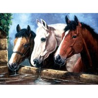 PRACHT Malen nach Zahlen Junior Pferde 40x32,5cm von Pracht Creatives Hobby