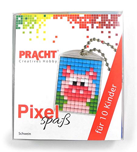 Pixel P90058-05501 Spaß Bastelset Schwein, mit 10 Medaillons zum Pixeln, einfaches Stecksystem ohne Bügeln und Kleben, für Kindergeburtstag, Bastelnachmittag, Schulen und Kitas von Pracht Creatives Hobby