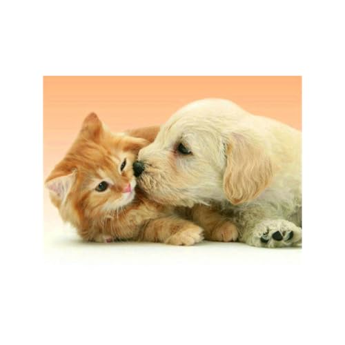 Pracht Creatives Hobby Diamond Painting Set, Bild mit Motiv Welpe mit Katze und Zubehör, Bastelset zum Malen mit Glitzersteinchen, für Kinder ab 5 Jahren Pracht Creatives Hobby Diamond Painting Set, Bild mit Motiv Welpe mit Katze und Zubehör, Bastelset zum Malen mit Glitzersteinchen, für Kinder ab 5 Jahren von Pracht Creatives Hobby