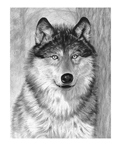Royal & Langnickel - Sketching - Skizzieren leicht gemacht für Kinder ab 8 Jahren, das Bild mit einem Wolfmotiv bietet den idealen Einstieg ins ausdrucksstarke Zeichnen von Pracht Creatives Hobby