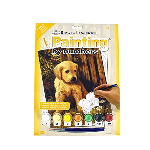 Pracht Creatives Hobby Royal & Langnickel - Malen nach Zahlen Welpe, enthält Farben und Pinsel, für Erwachsene und Kinder ab 8 Jahren Pracht Creatives Hobby Royal & Langnickel - Malen nach Zahlen Welpe, enthält Farben und Pinsel, für Erwachsene und Kinder ab 8 Jahren von Pracht Creatives Hobby
