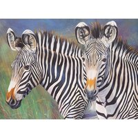PRACHT Malen nach Zahlen Junior Zebras PRACHT Malen nach Zahlen Junior Zebras von Pracht Creatives