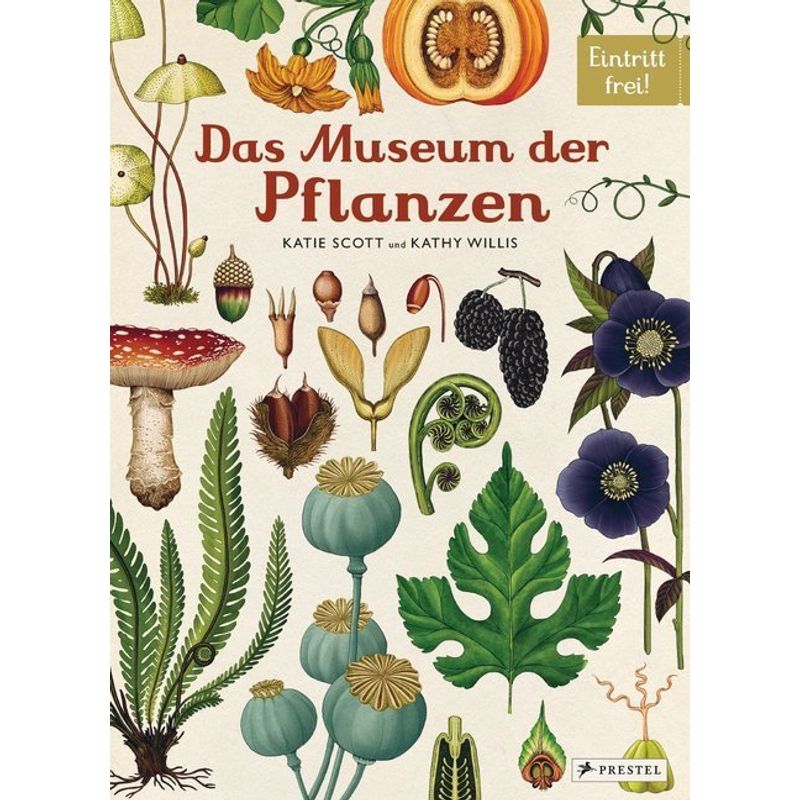 Das Museum der Pflanzen von Prestel