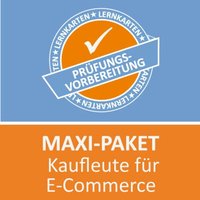 Maxi-Paket Lernkarten Kaufmann für E-Commerce von Princoso