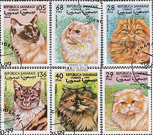 Prophila Collection Sahara Ausgabe der Exilregierung ohne Gültigkeit im int. Postverkehr Nr.92 gestempelt 1999 Katzen (Briefmarken für Sammler) Katzen/Raubkatzen (Löwen/Tiger/Leoparden ...) von Prophila Collection