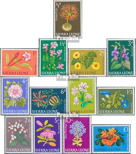 Prophila Collection Sierra Leone 208-220 (kompl.Ausg.) postfrisch ** MNH 1963 Blumen (Briefmarken für Sammler) Pflanzen/Pilze von Prophila Collection