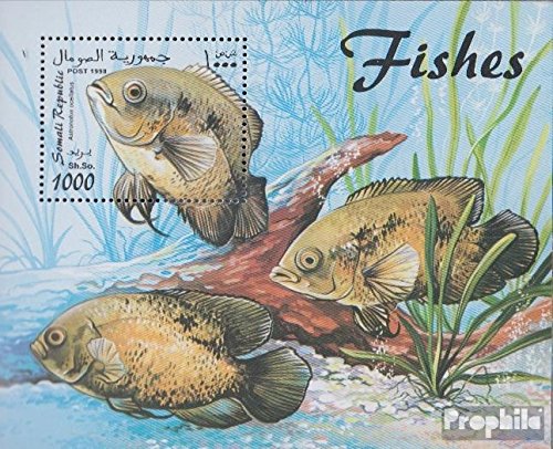 Prophila Collection Somali Republic Block1998F die Legalität Dieser Ausg. ist ungeklärt postfrisch ** MNH 1998 Fische (Briefmarken für Sammler) Wassertiere von Prophila Collection