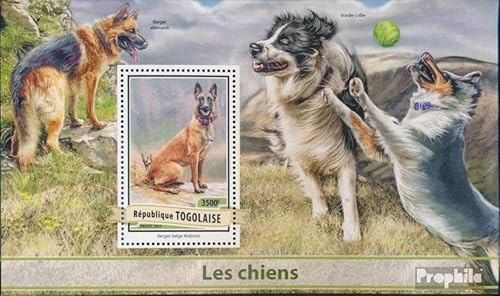 Prophila Collection Togo Block 1407 (kompl. Ausgabe) postfrisch ** MNH 2017 Hunde (Briefmarken für Sammler) Hunde/Wölfe/Hyänen von Prophila Collection