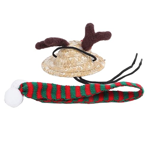Pssopp Bartagamen-Weihnachtsmannmütze, Leuchtende Farben, Eidechsen-Weihnachtsmannmütze mit Schal für Weihnachtsparty-Outfit, Foto-Requisiten (Grüner Schal) von Pssopp