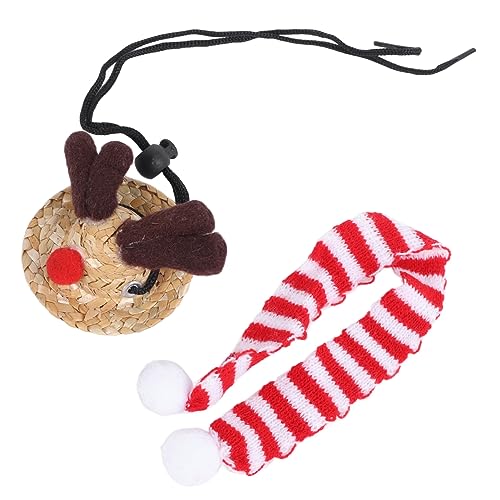 Pssopp Bartagamen-Weihnachtsmannmütze, Leuchtende Farben, Eidechsen-Weihnachtsmannmütze mit Schal für Weihnachtsparty-Outfit, Foto-Requisiten (Roter Schal) von Pssopp