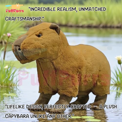 PuffPurrs Lebensechter Capybara-Plüsch, Realistischer Sanfter Riesen-Nager Teddy, Süßer Nagetier Kissen-Geschenk, 31 cm von PuffPurrs